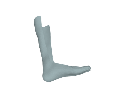Ankle Foot Orthosis - AFO image