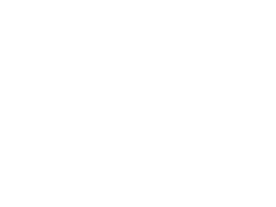 Elastoplastic Notched Plate - Static Analysis image