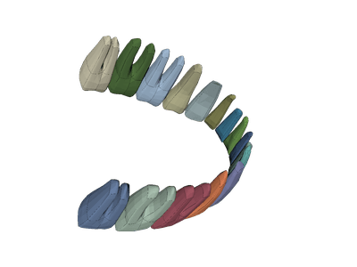 teeth analysis of lower cum image