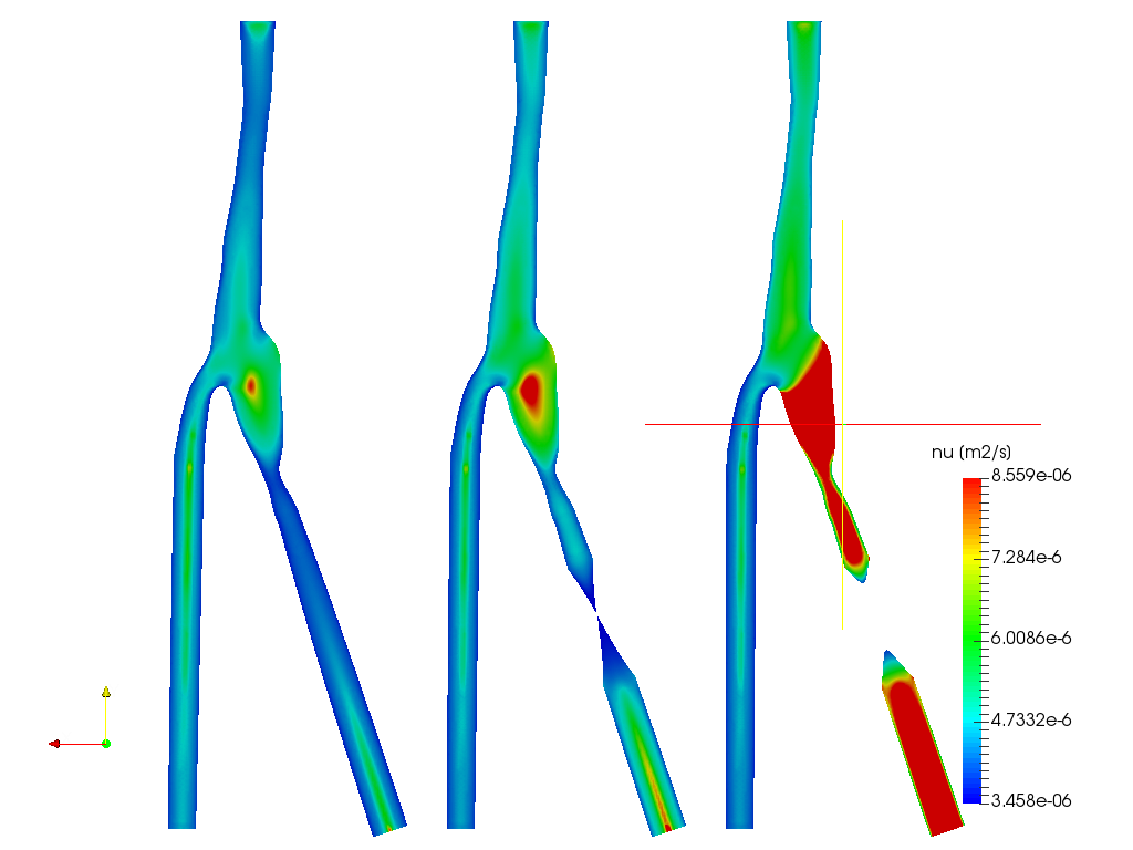 Blood flow updated image