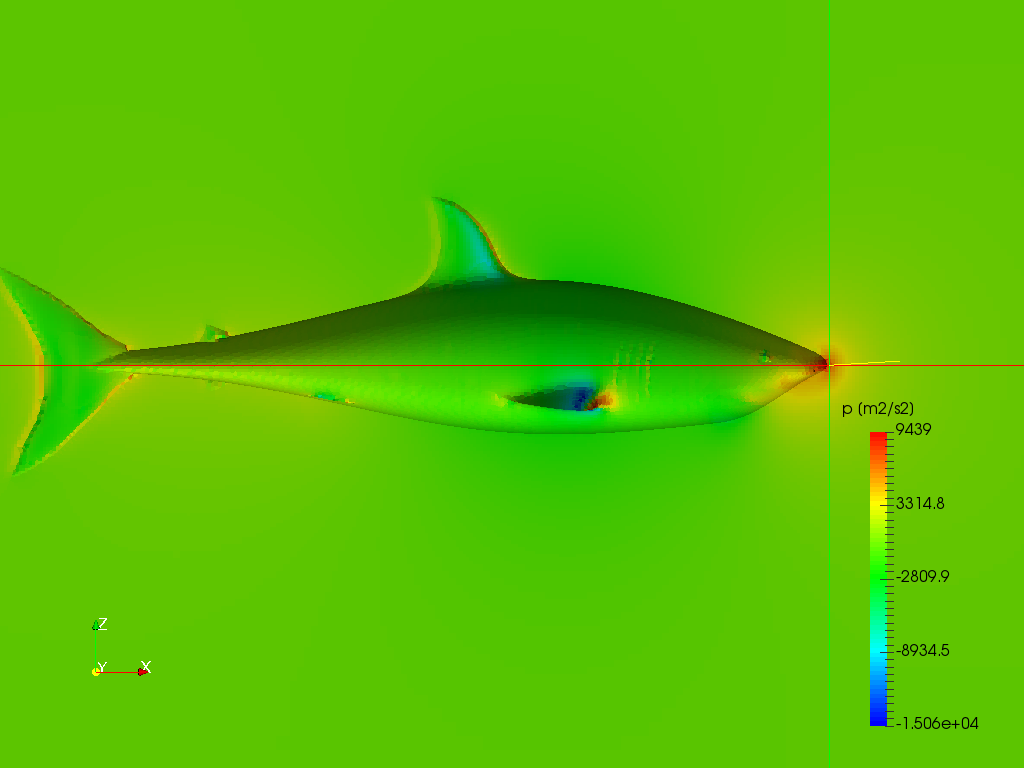 Great white shark hydrodynamics image