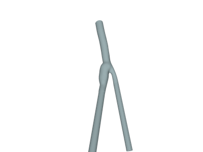 Blood flow in a Carotid Artery Bifurcation - Homework image