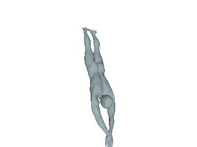 Olympic Swimmer image